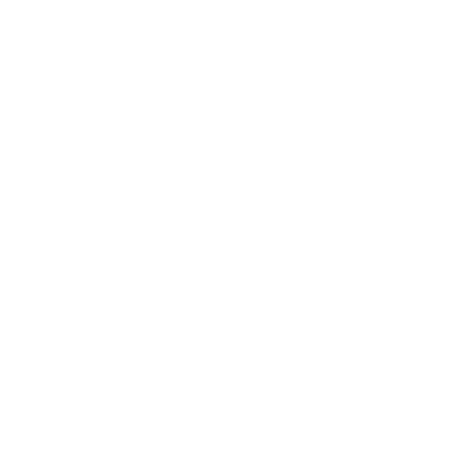 Logo dentro a scatola bianca